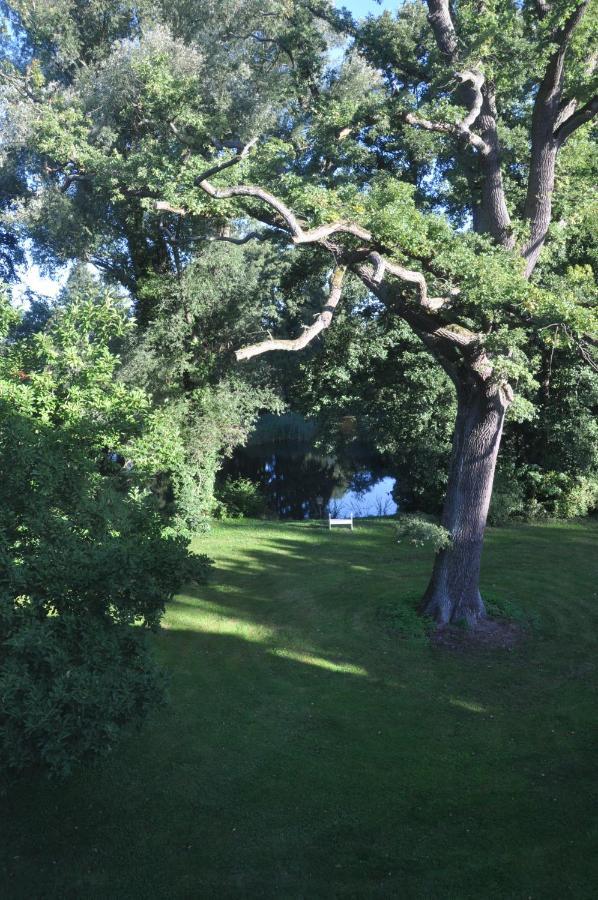 Gartenzimmer Im Schloss Neuhausen Neuhausen  Kültér fotó