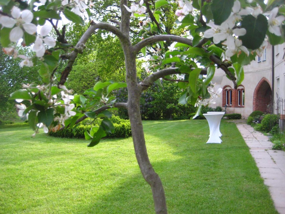 Gartenzimmer Im Schloss Neuhausen Neuhausen  Kültér fotó