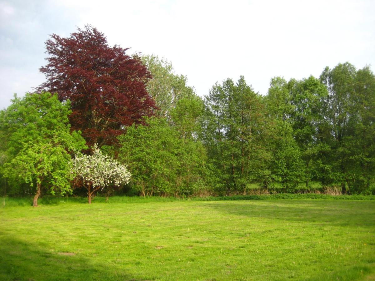 Gartenzimmer Im Schloss Neuhausen Neuhausen  Kültér fotó